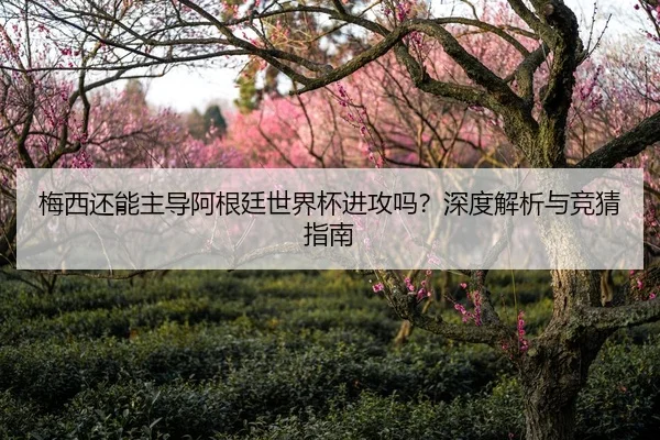 梅西还能主导阿根廷世界杯进攻吗？深度解析与竞猜指南